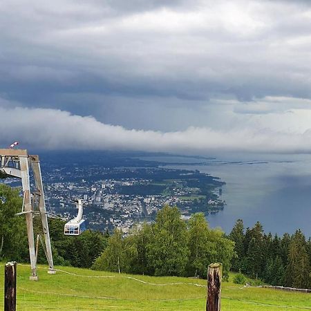 Gruenes Allgaeu Simon Held Opfenbach Экстерьер фото