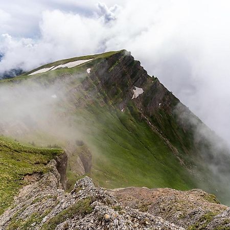 Gruenes Allgaeu Simon Held Opfenbach Экстерьер фото